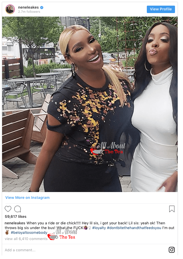 Nene Leakes and Porsha Williams