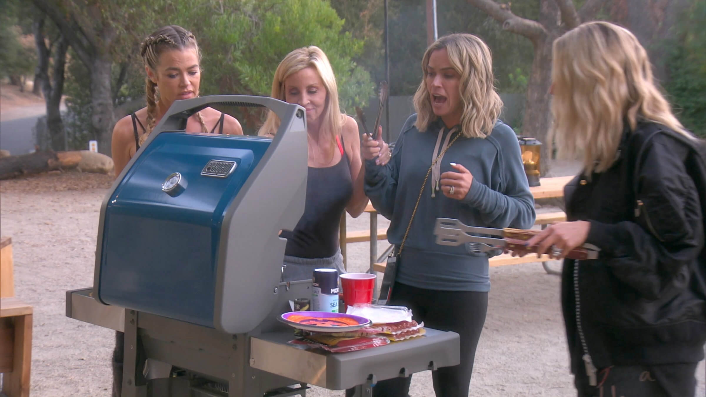 RHOBH RECAP: Denise Richards Reveals Hookers Pleasure Her Husband & Camille and Teddi Fight!