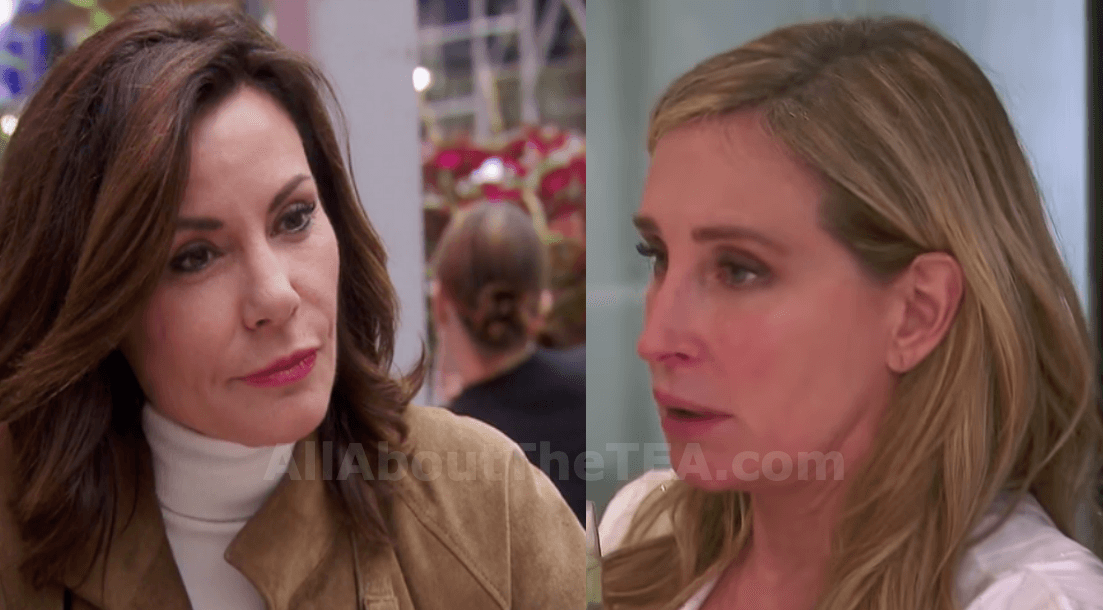 Luann de Lesseps Refused To Check On Drunken Sonja Morgan After Her Serious Collapse In Miami!
