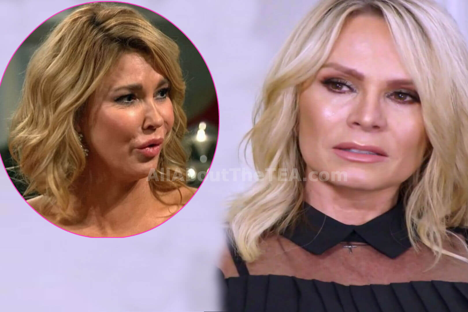 Brandi Glanville and Tamra Judge Get Into Twitter War Over Kelly Dodd’s ‘Sex Train’ Scandal!