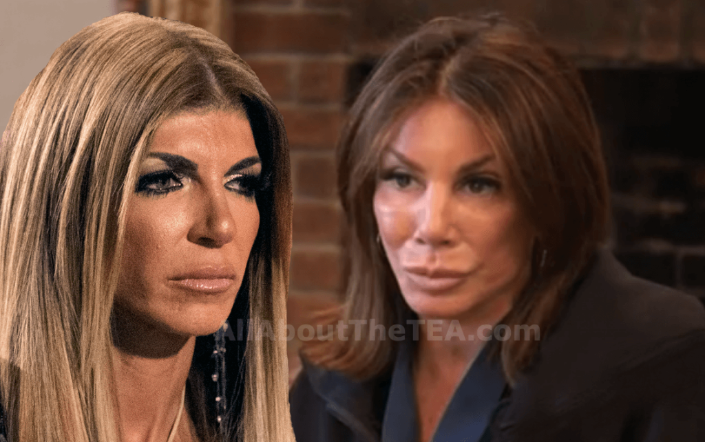 EXCLUSIVE: Teresa Giudice & Danielle Staub's Friendship Fallout EXPOSED ...