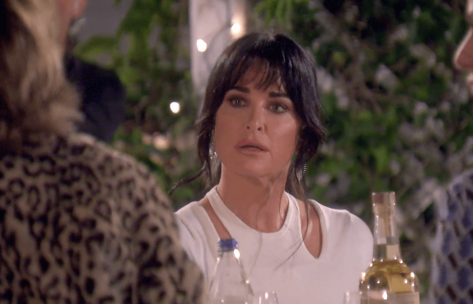 CLAWS OUT:  Kyle Richards Says Denise Richards’ Husband ‘Can F*ck Off’ For Inserting Himself In Women’s Drama!