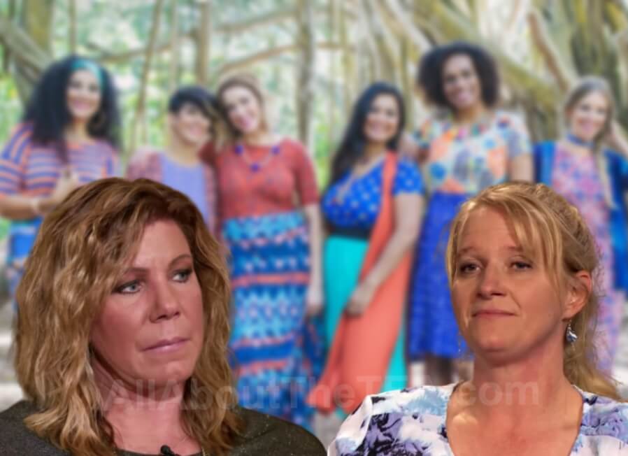 Sister Wives Meri And Christine Brown S Illegal Pyramid Scheme Exposed