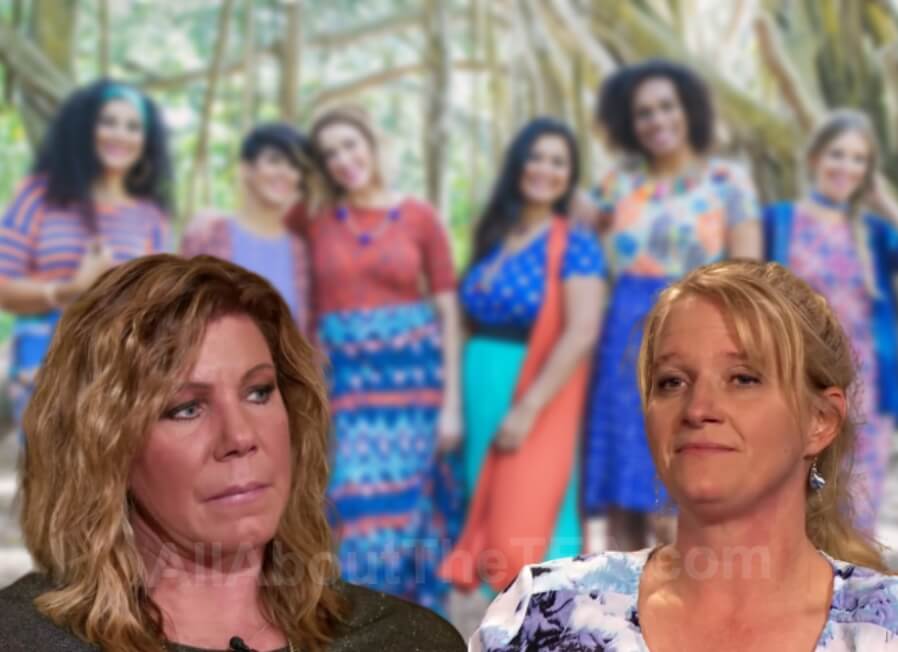 sister-wives-meri-and-christine-brown-s-illegal-pyramid-scheme-exposed