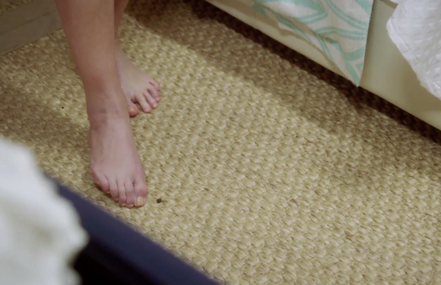 'RHONY' RECAP Ramona Singer Casually Poops on Floor During Fight With