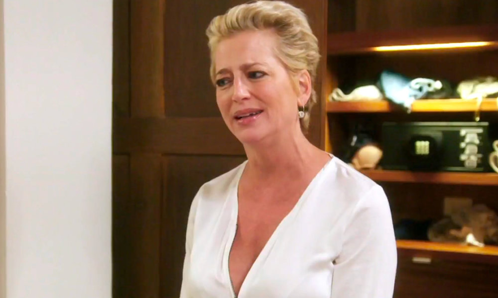 'RHONY' RECAP Ramona Singer Casually Poops on Floor During Fight With