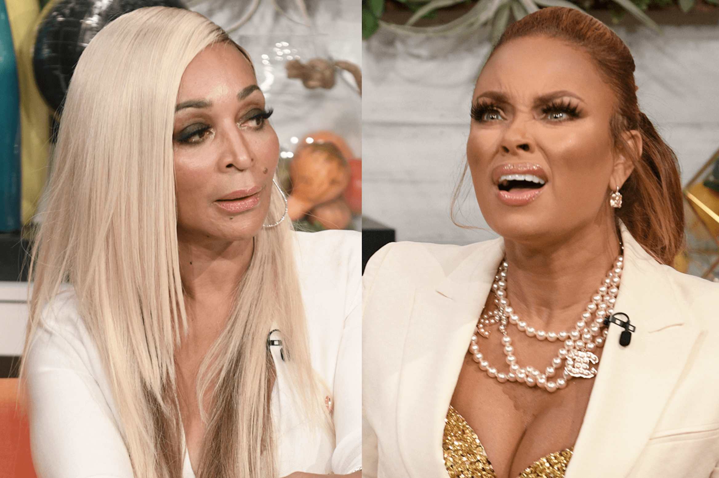 Karen Huger Says Gizelle Bryant’s Body Is BLOATED From Alcohol Inflammation!