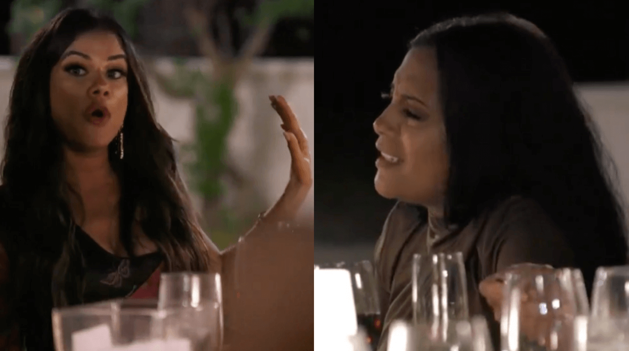 RECAP: ‘Married To Medicine’ Dr. Contessa Reveals That Husband Scott May Have A Girlfriend, Anila And Lisa Nicole Go At It Over Money!