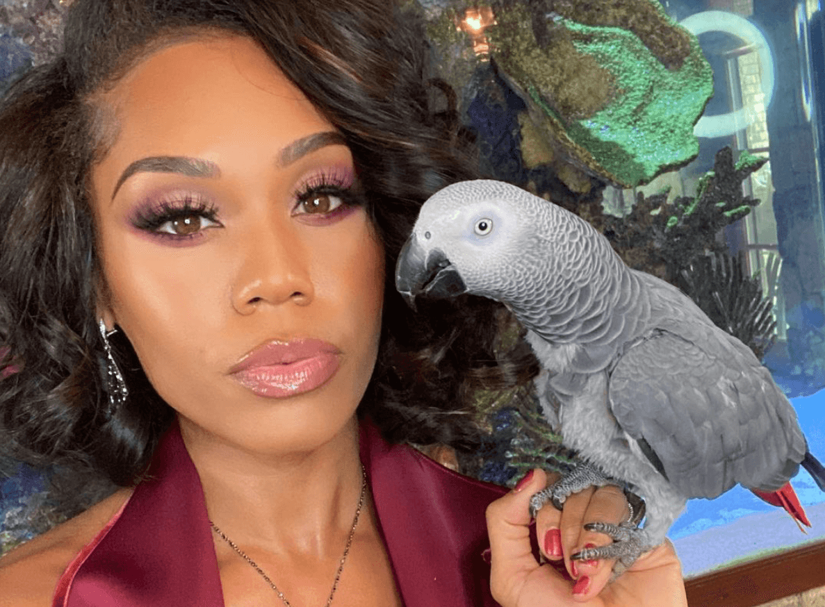 ‘RHOP’ Alum Monique Samuels Mourns The Tragic Death Of Her Beloved Parrot, T’Challa!