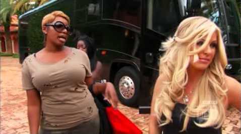 NeNe Leakes ‘Tried To Choke’ Kim Zolciak In A Target Parking Lot During An Explosive, Off-Camera Fight!