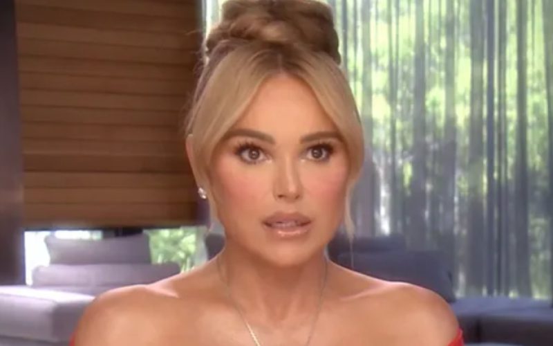 ‘rhobh Star Diana Jenkins Resolves Lawsuit Involving ‘baseless And Damaging Sex Trafficking 3474