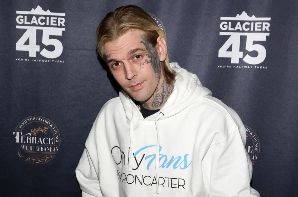 Aaron Carter Checks Into Rehab After Losing Custody of Son!