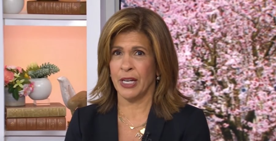Hoda Kotb Shares Career Update After Missing From Today Show