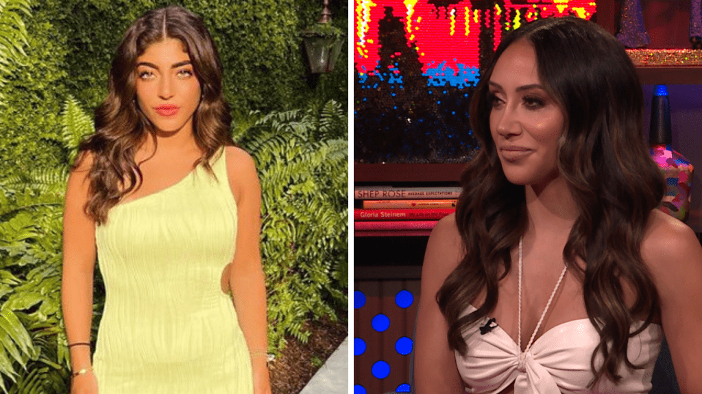 Melissa Gorga Caught Sneak Dissing Teresa Giudice's Daughters Amid ...