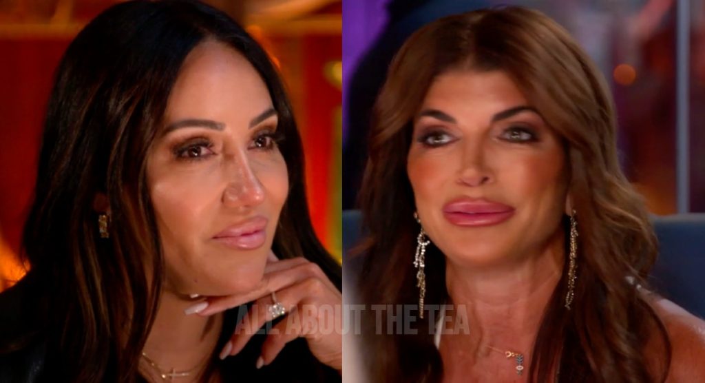 Details Of Melissa Gorga And Teresa Giudice's Explosive 'RHONJ' Finale ...