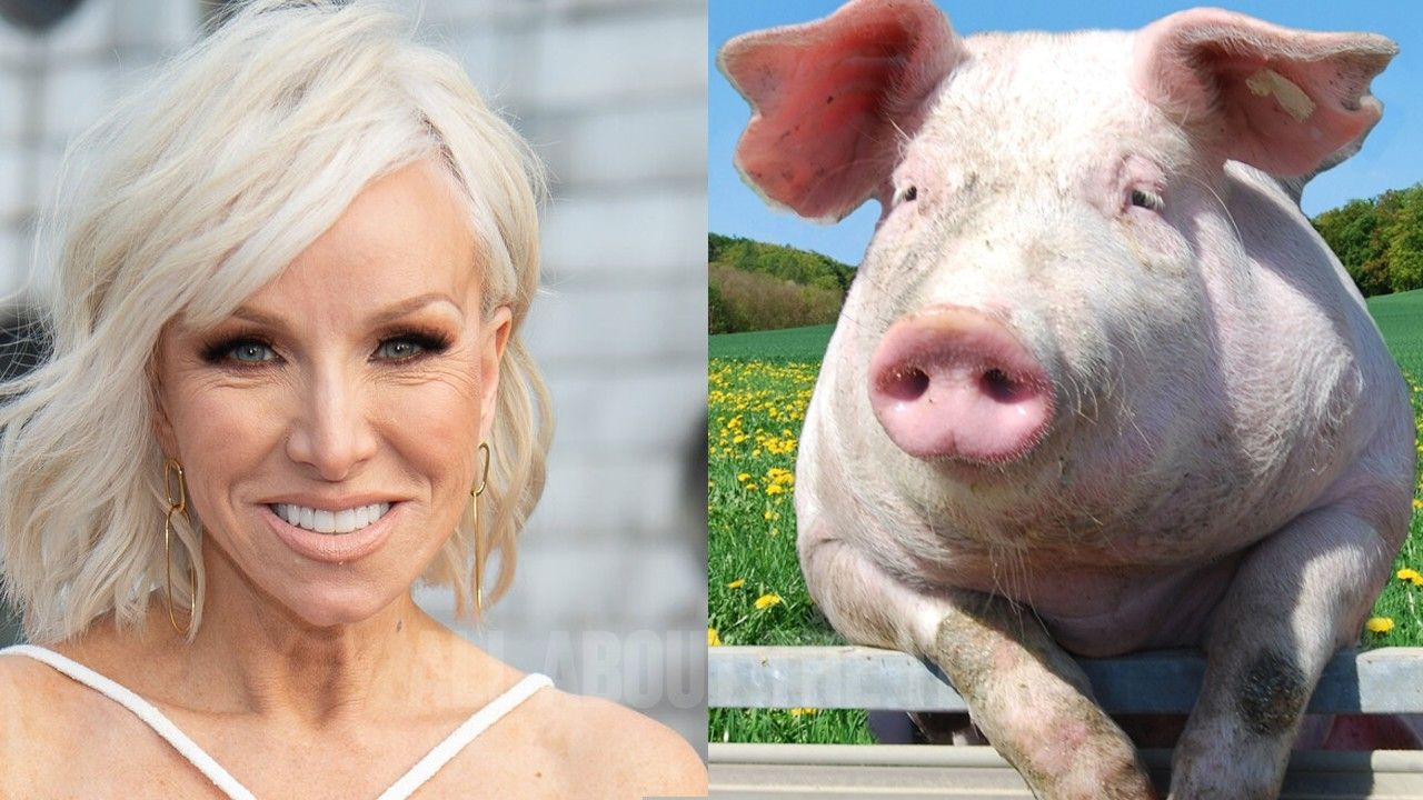 Luis Ruelas Calls Margaret Josephs A ‘Pig’ Amid Smear Campaign Allegations