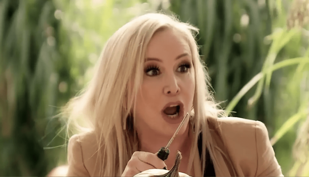 Shannon Beador