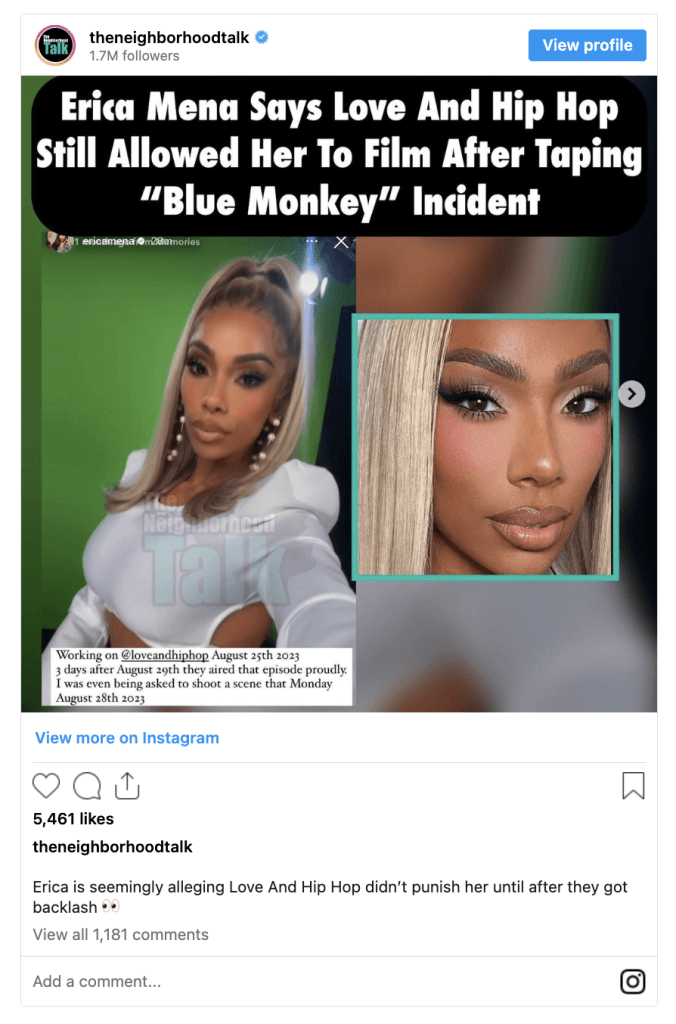 Erica Mena Fired from 'Love & Hip Hop' After Monkey Comment