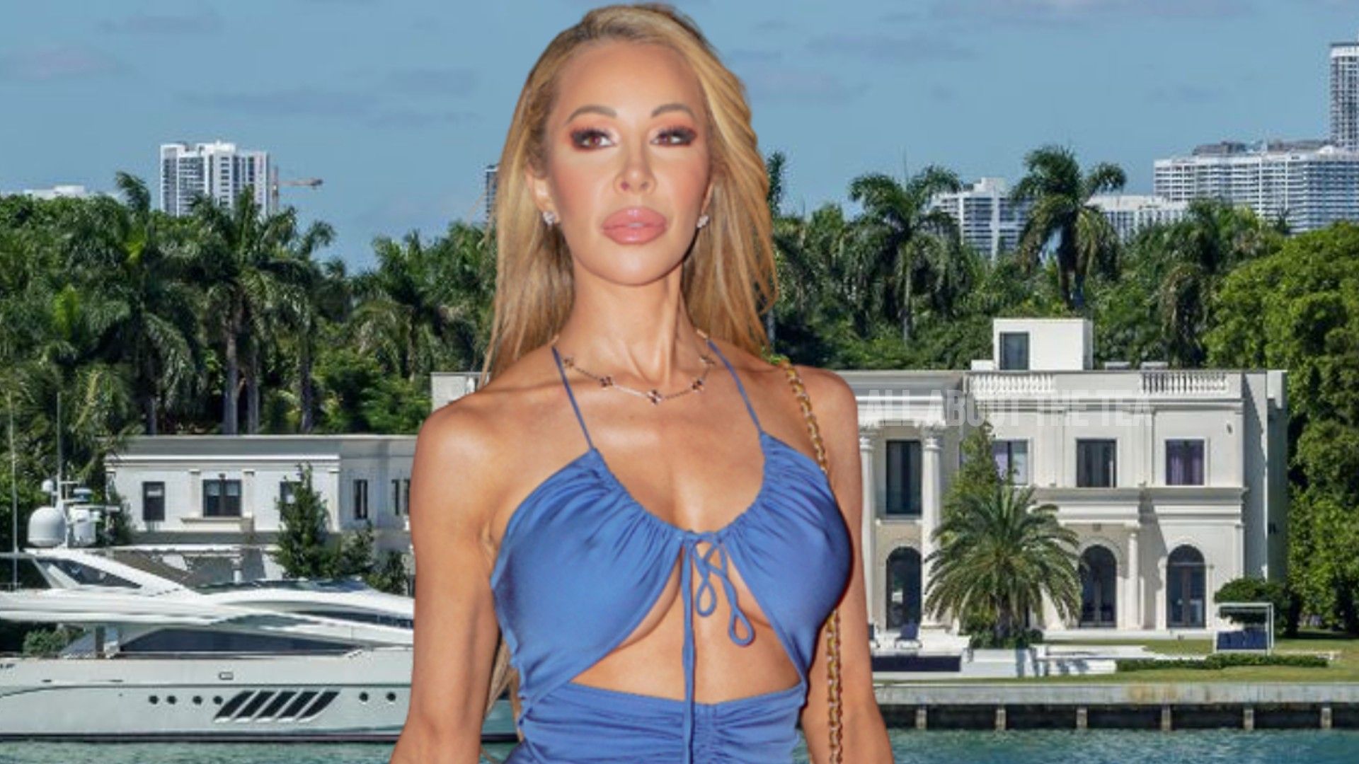 RHOM’s Lisa Hochstein Accused of Vicious Move: Ex Claims Star Cleaned Out $10M Home, Even Took Pots and Pans for the Kids’ Meals