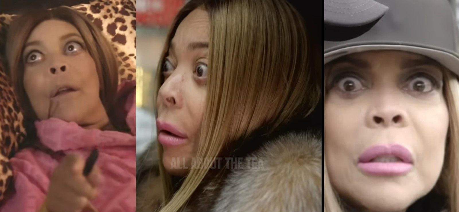 Wendy Williams’ New Documentary Reveals Dementia Battle and Financial Ruin!